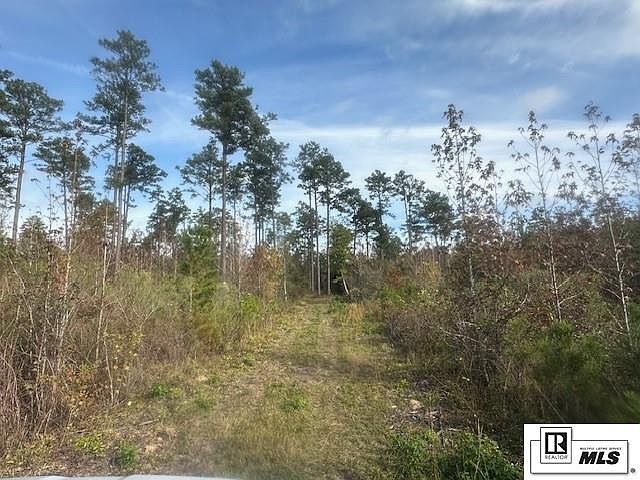 2nd image of 550 New Hope Rd