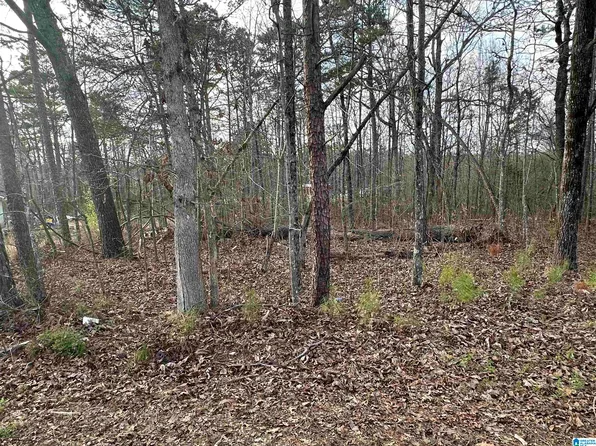 0 Holliday Dr #16, Oneonta, AL 35121