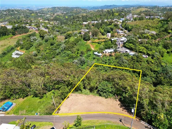 Saint 809 Cedro Arriba Sector, Naranjito, PR 00719