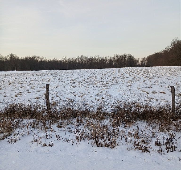 2nd image of Selkirk Bush Rd