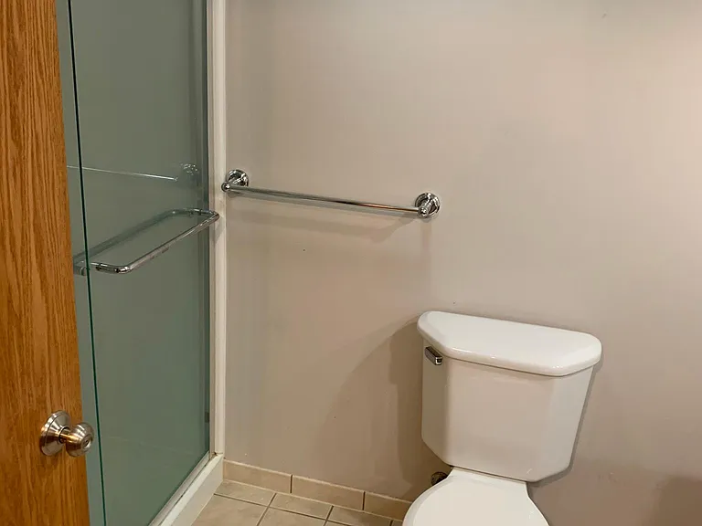 Lower level bathroom - view 1