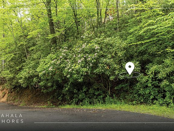 2nd image of Lot 6 Woods Mountain Trail