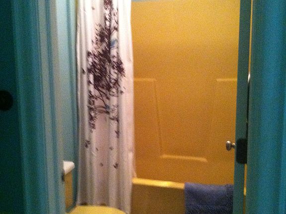 Lizzy's Tub/Toliet