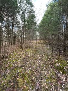 Old Kessler Ridge Rd, Tompkinsville, KY, 42167