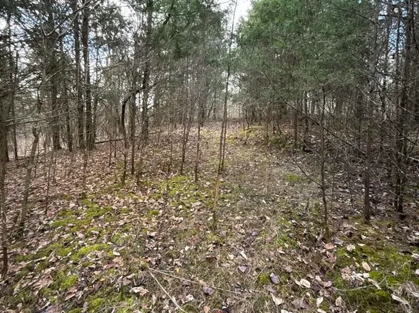 Old Kessler Ridge Rd, Tompkinsville, KY 42167