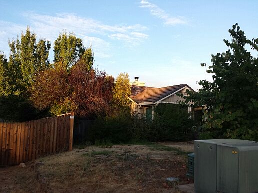 4th image of 3967 Watsonia Glen Dr