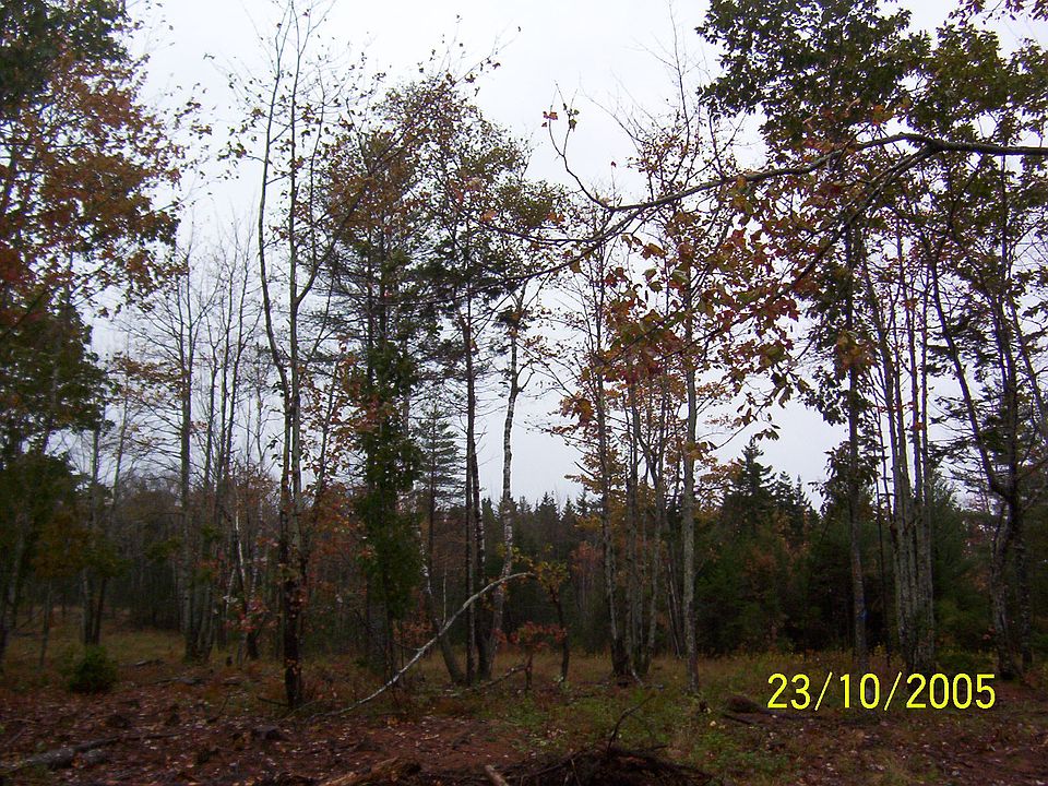 1st image of 18 Wabanaki Trail