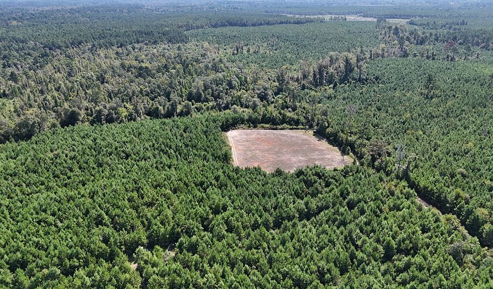 1st image of Dido Loop Lot Wp004
