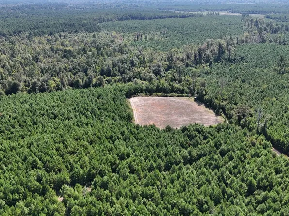 Dido Loop Lot Wp004, Pitkin, LA 70656