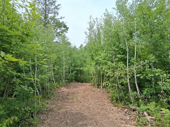 PARCEL 7 County Road T, Danbury, WI 54830