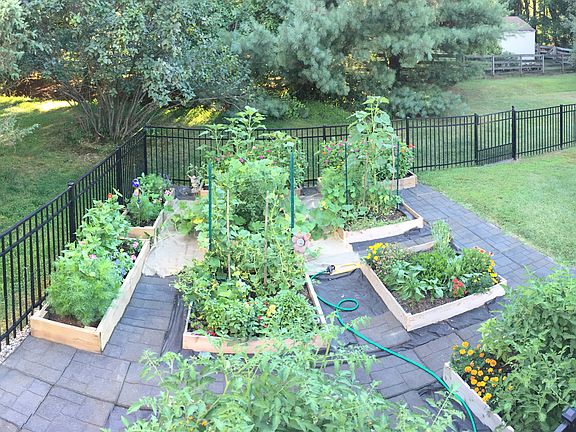 Fenced in Raised Beds