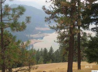 Tbd Lakeview Rd, Orofino, ID 83544