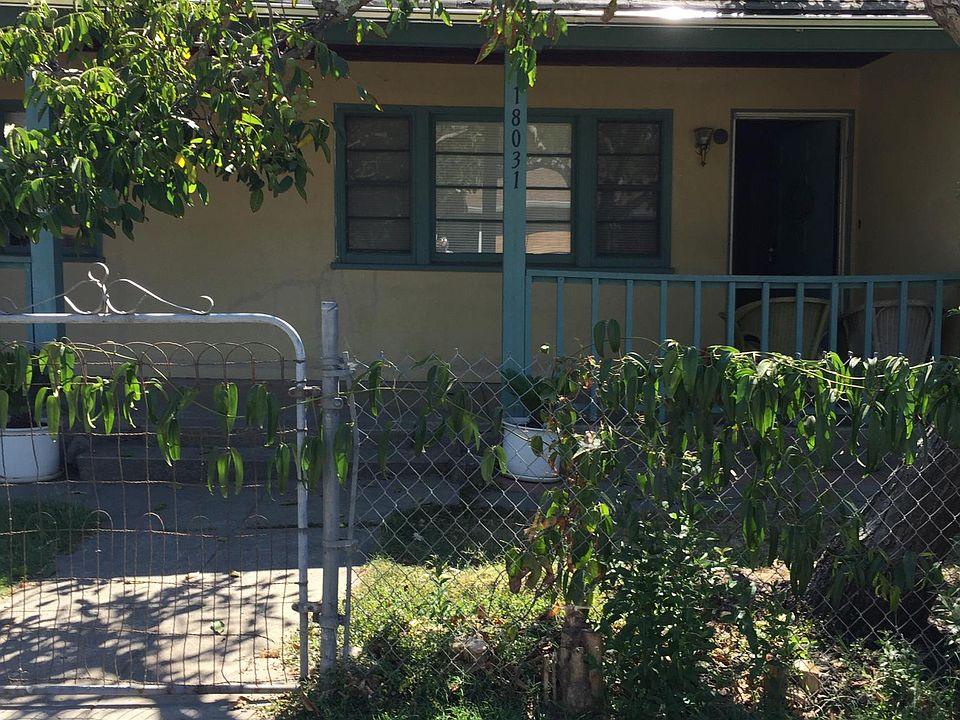 Front yard with walnut tree