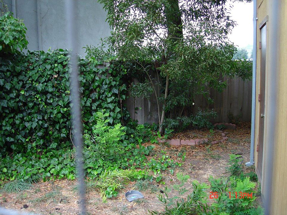 2nd image of 126 Lloyd Ct APT 1