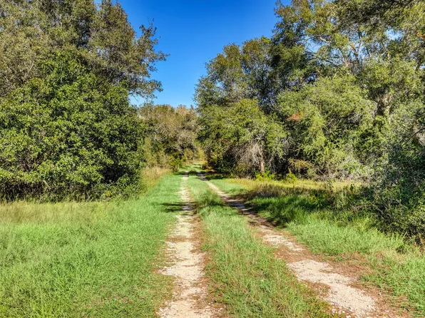 0 County Road 509 Off Rd, Damon, TX 77430