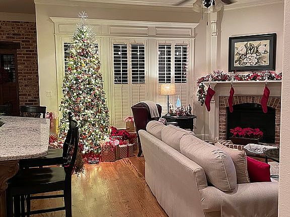 Living Area/Fireplace