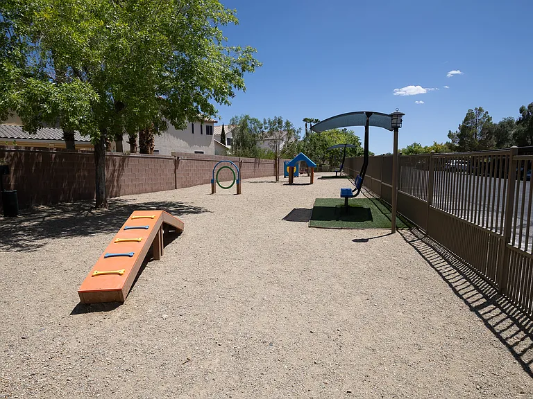 Pet Park with Agility Equipment