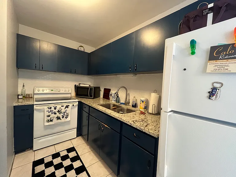5320 N Sheridan Rd #1210 — Photo 12