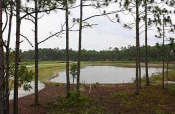 3rd image of 3225 Moss Hammock