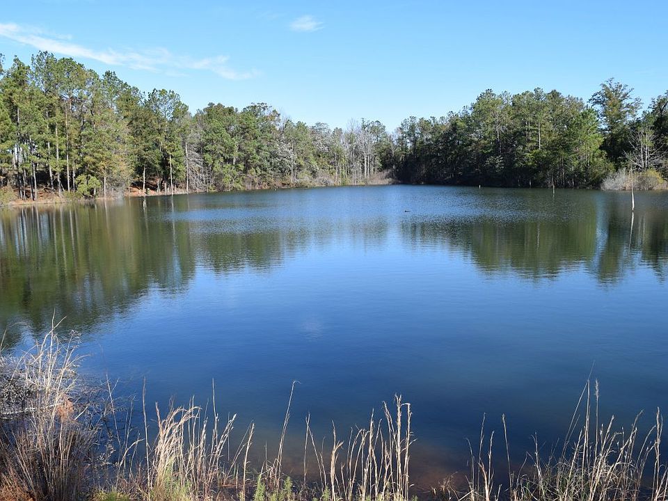 Beautiful 7 acre lunker lake at Bear Creek acres.....ready and waiting!!