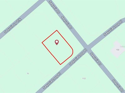Sequoia Loop Lot 9, Ocklawaha, FL, 32179
