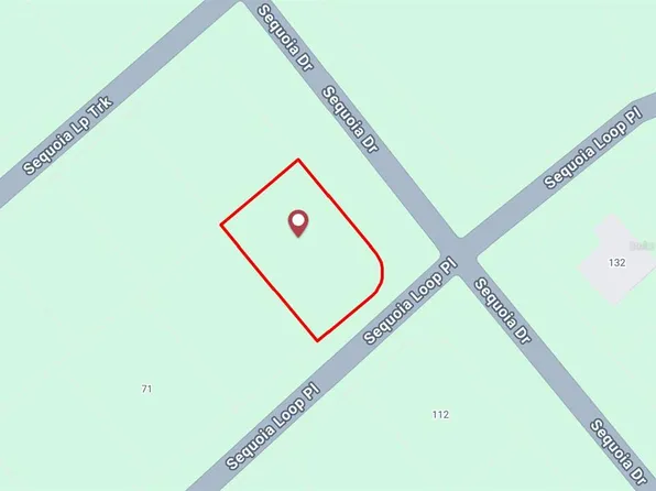 Sequoia Loop Lot 9, Ocklawaha, FL 32179