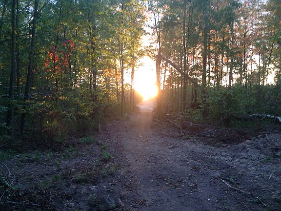 Trail heading to road