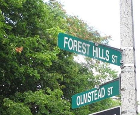 3rd image of 20 Forest Hills St #1