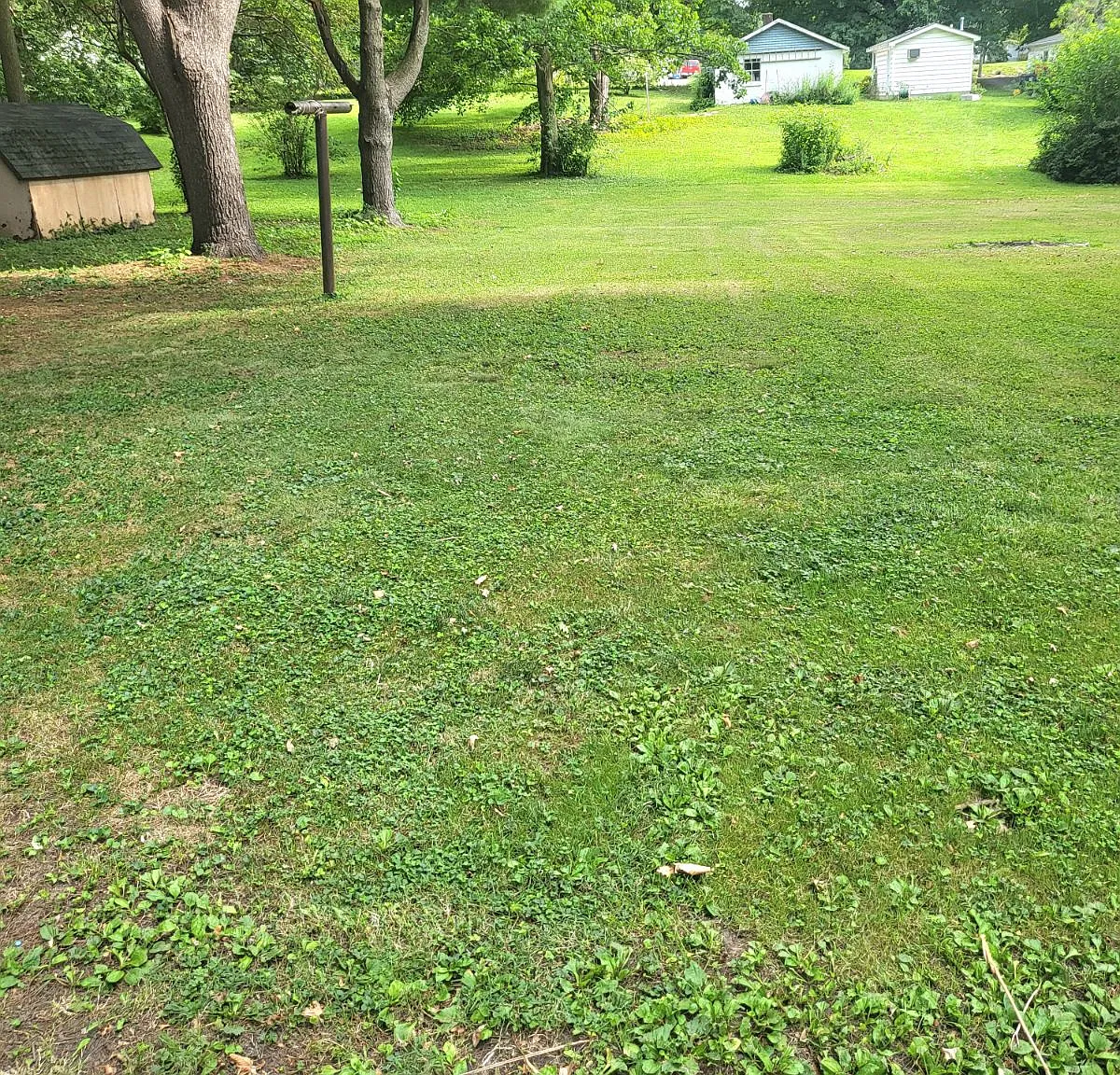2 bed, 936 sqft, $1,125 — Photo 2