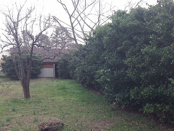 side view of back tree lined