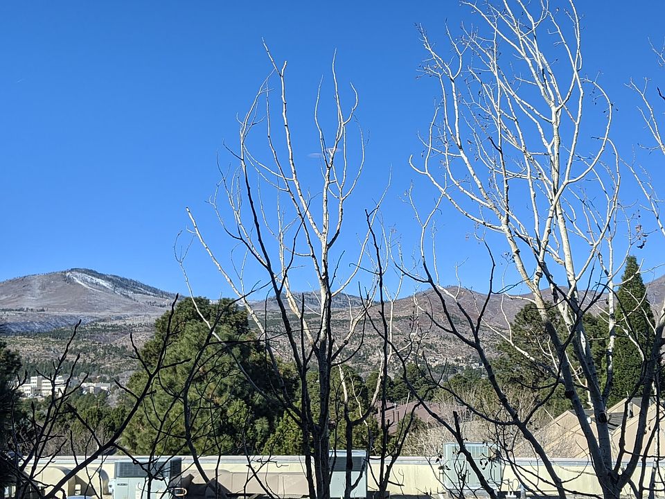 1st image of 557 Oppenheimer Dr Unit 301