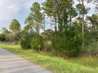 LOT 2 Bird Pond Rd NE, Steinhatchee, FL 32359