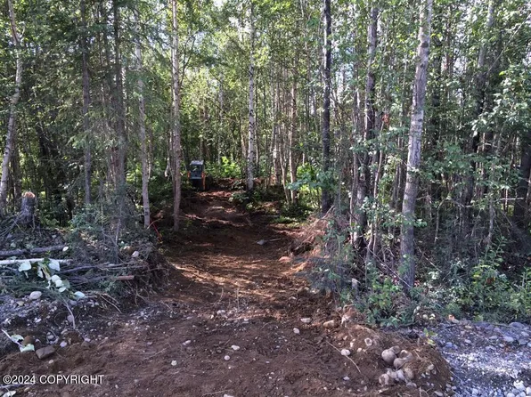 49644 S Bendapole Rd, Talkeetna, AK 99676