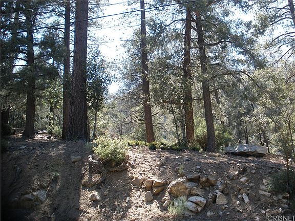 3rd image of 1413 Banff Dr