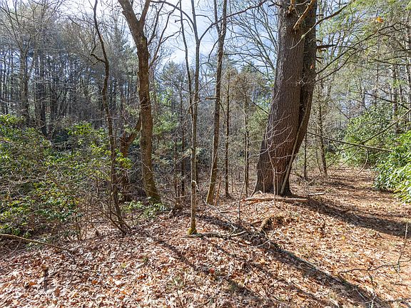 3rd image of TBD Flat Mountain Road