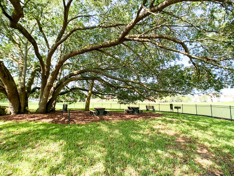 Oakleaf Village Apartments — Photo 33