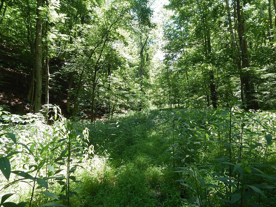 40th image of 1597 Devil Hole Rd