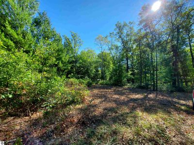 0 Beroun Ave, Interlochen, MI, 49643