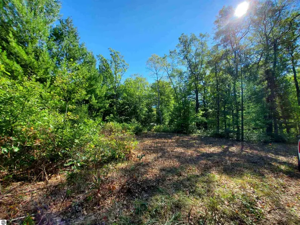 0 Beroun Ave, Interlochen, MI 49643