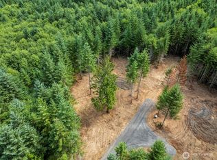 1792 Spirit Lake Hwy LOT 4, Castle Rock, WA 98611