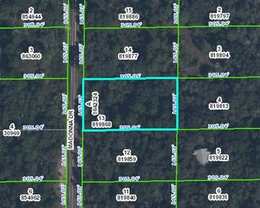 Madonna Dr, Webster, FL, 33597