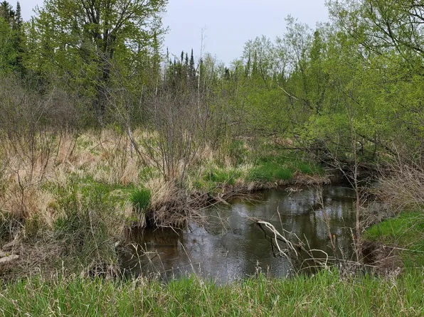 0 Greenwood Rd, West Branch, MI 48661