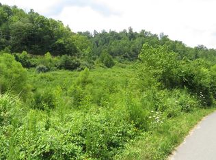 1 Paynes Branch Rd, Hinkle, KY 40953