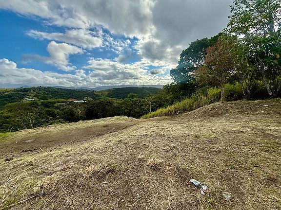 3rd image of Cidra Campo Bello #1