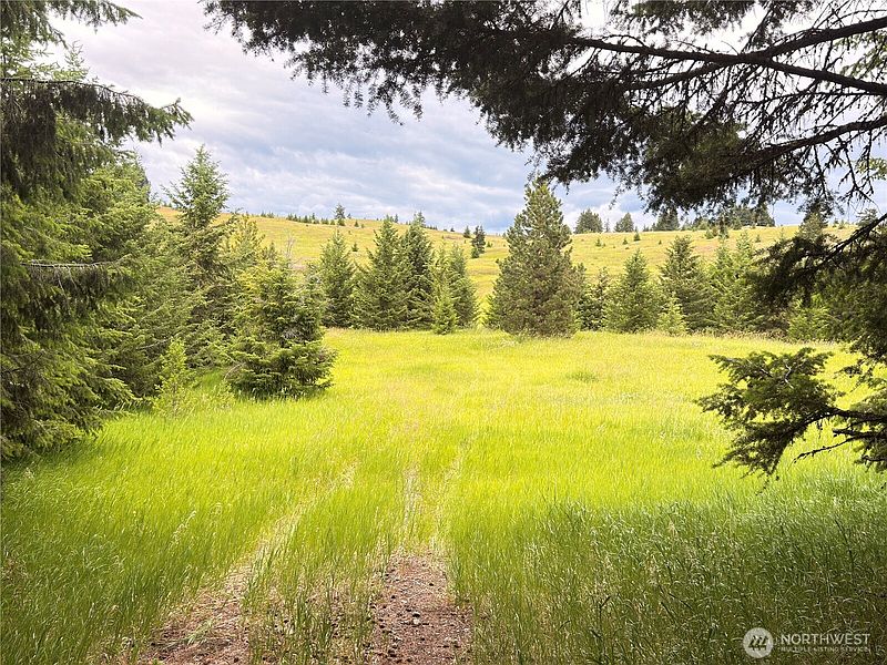 2nd image of 12 S Teal Lake Road