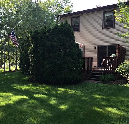 Spacious Backyard