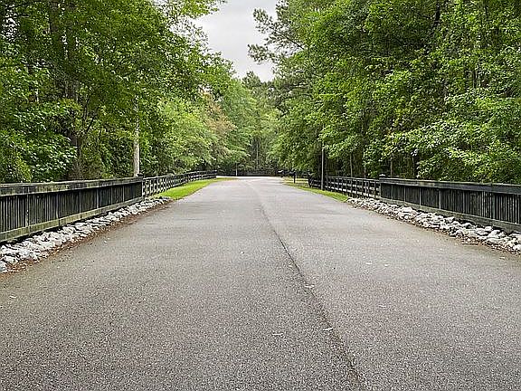 4th image of 115 Bald Cypress Ln