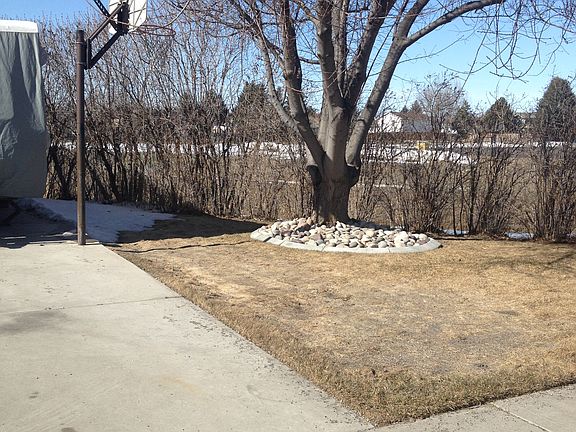 Basketball - North side prty