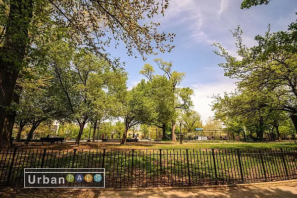 Rented by Urban Pads | media 1