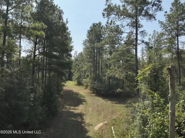 40 J W Jones Rd, Oak Vale, MS 39656